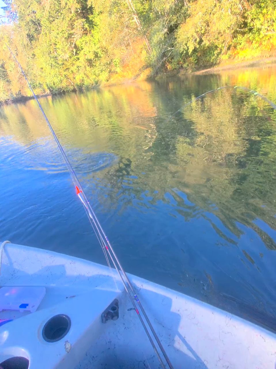WA Fish Forecast — The only Washington fishing app you’ll ever need.