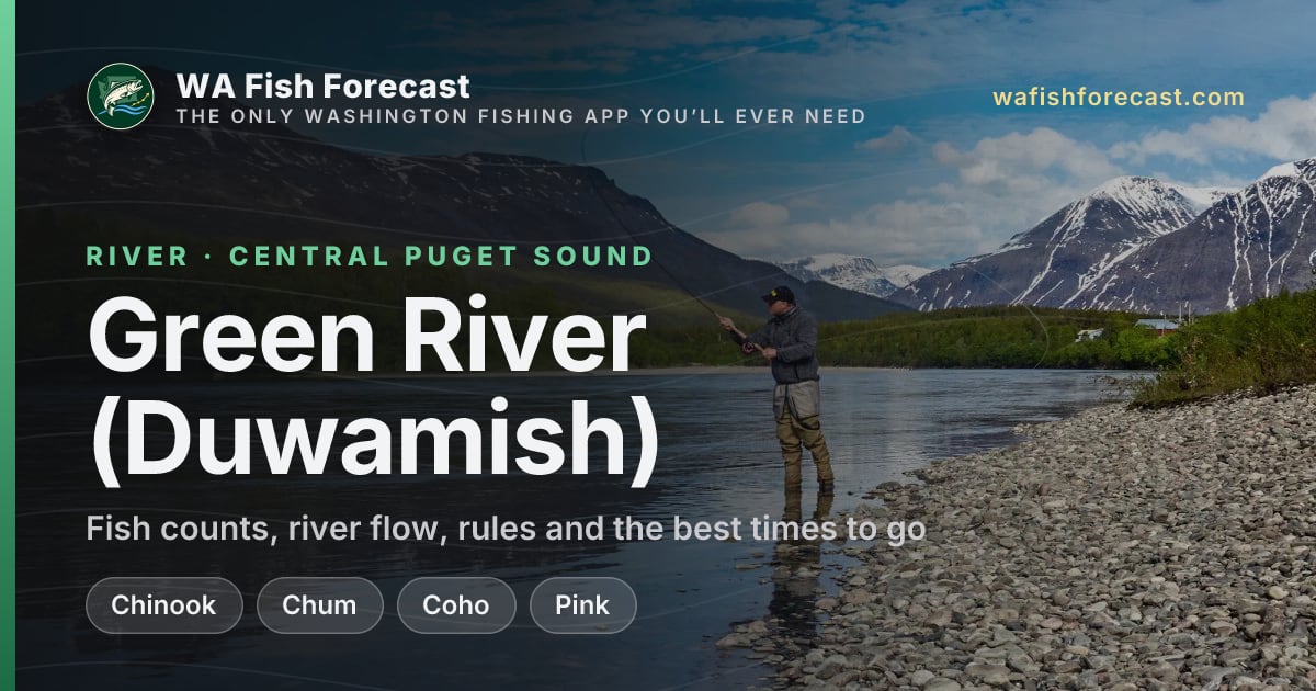Green River (Duwamish) fish counts, forecast & conditions · WA Fish ...