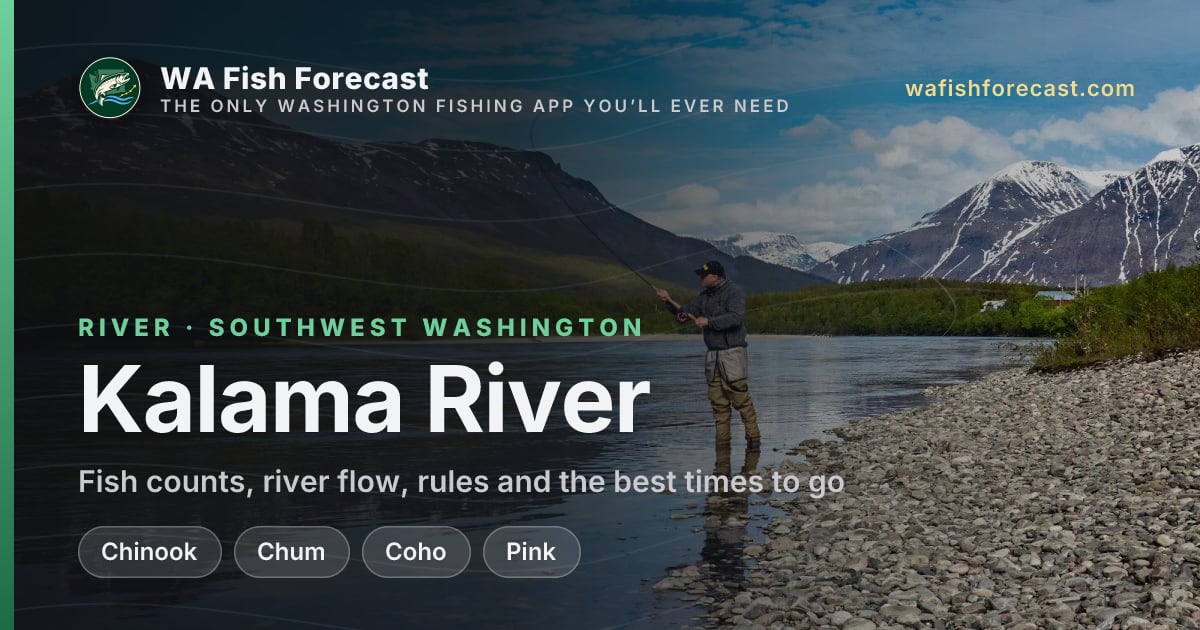Kalama River fish counts, forecast & conditions · WA Fish Forecast