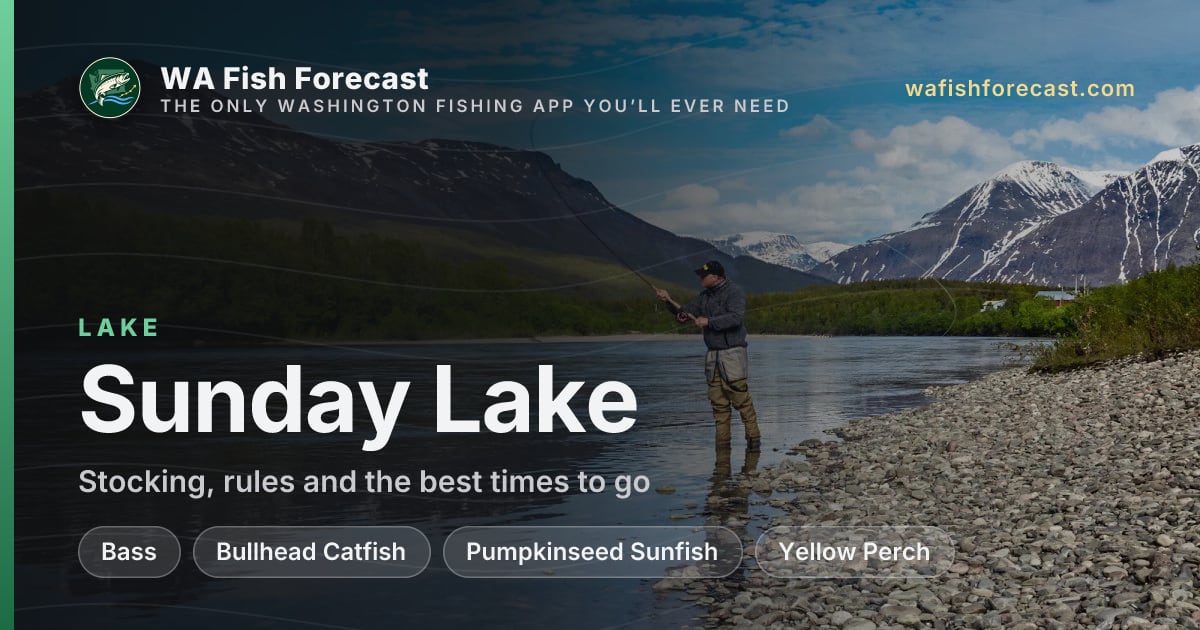 Sunday Lake fish counts, forecast & conditions · WA Fish Forecast
