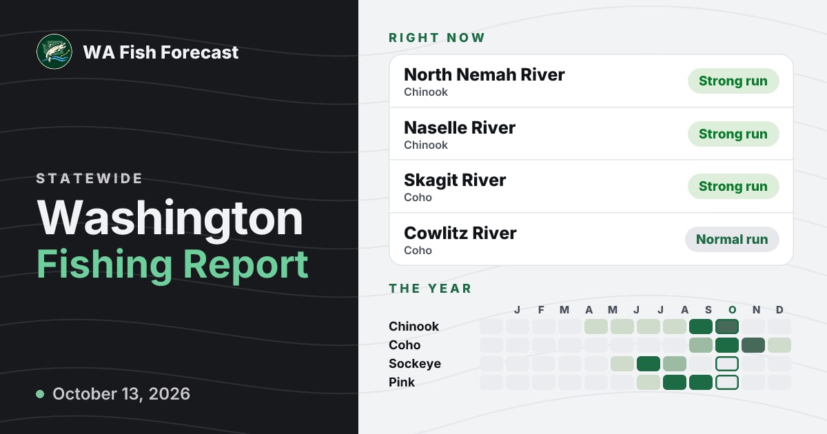 Washington Fishing Report & Forecast — Today · WA Fish Forecast