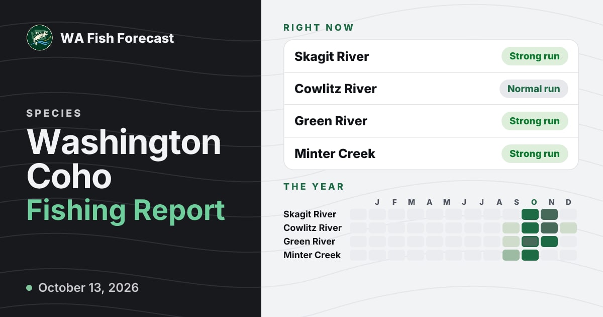 Washington Coho Fishing Report · WA Fish Forecast