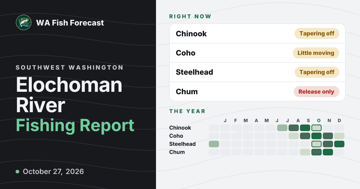 Elochoman River Fishing Report · WA Fish Forecast