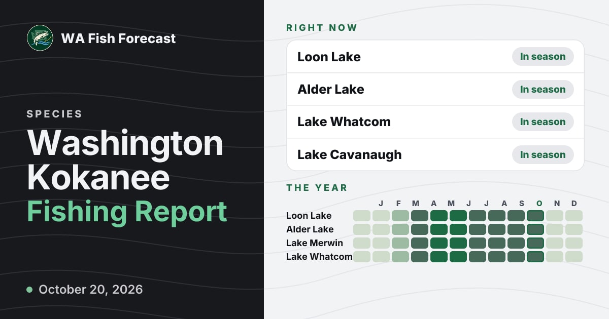 Washington Kokanee Fishing Report · WA Fish Forecast