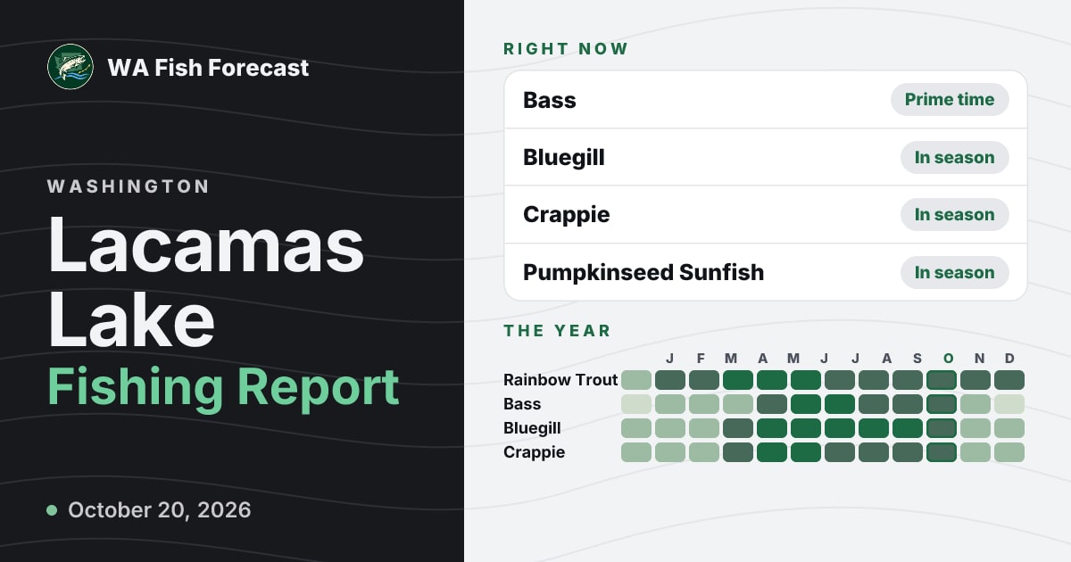 Lacamas Lake Fishing Report · WA Fish Forecast