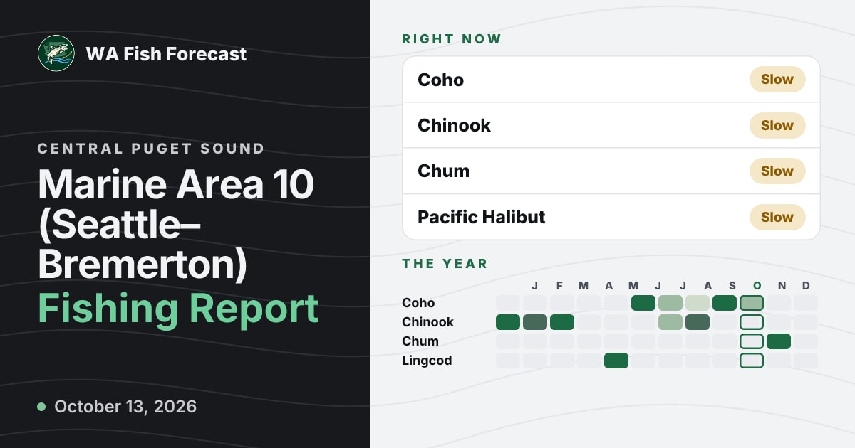 Marine Area 10 (Seattle–Bremerton) Fishing Report · WA Fish Forecast