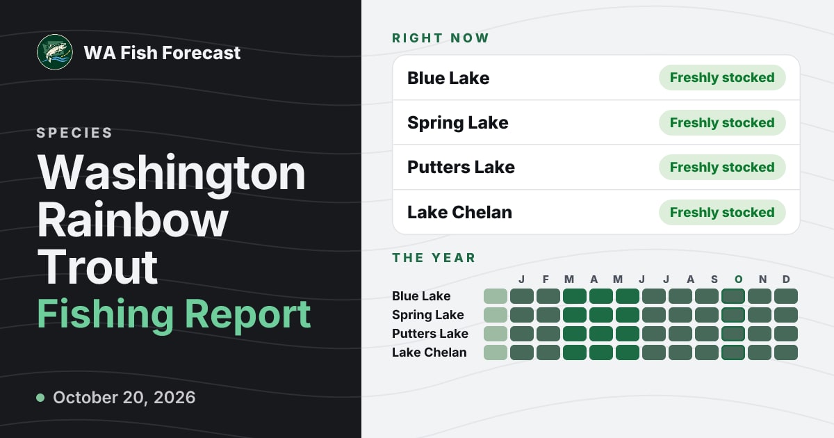 Washington Rainbow Trout Fishing Report · WA Fish Forecast