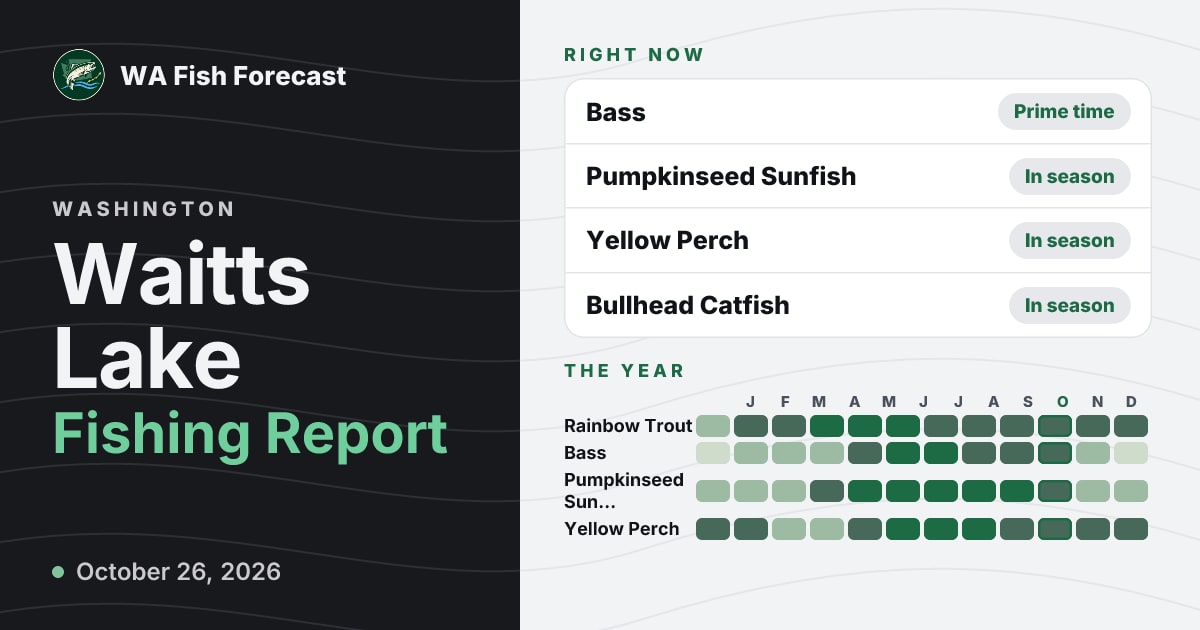 Waitts Lake Fishing Report · WA Fish Forecast