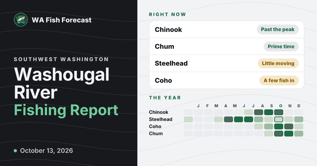 Washougal River Fishing Report · WA Fish Forecast