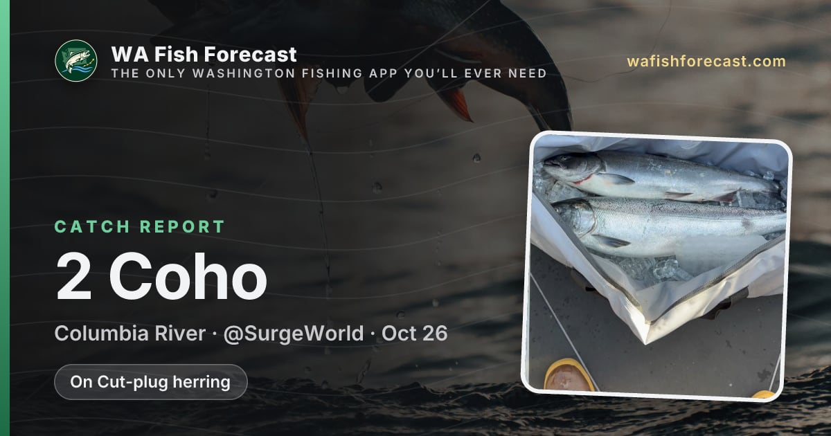 @SurgeWorld's 10/26/26 coho fishing report — Columbia River · WA Fish ...