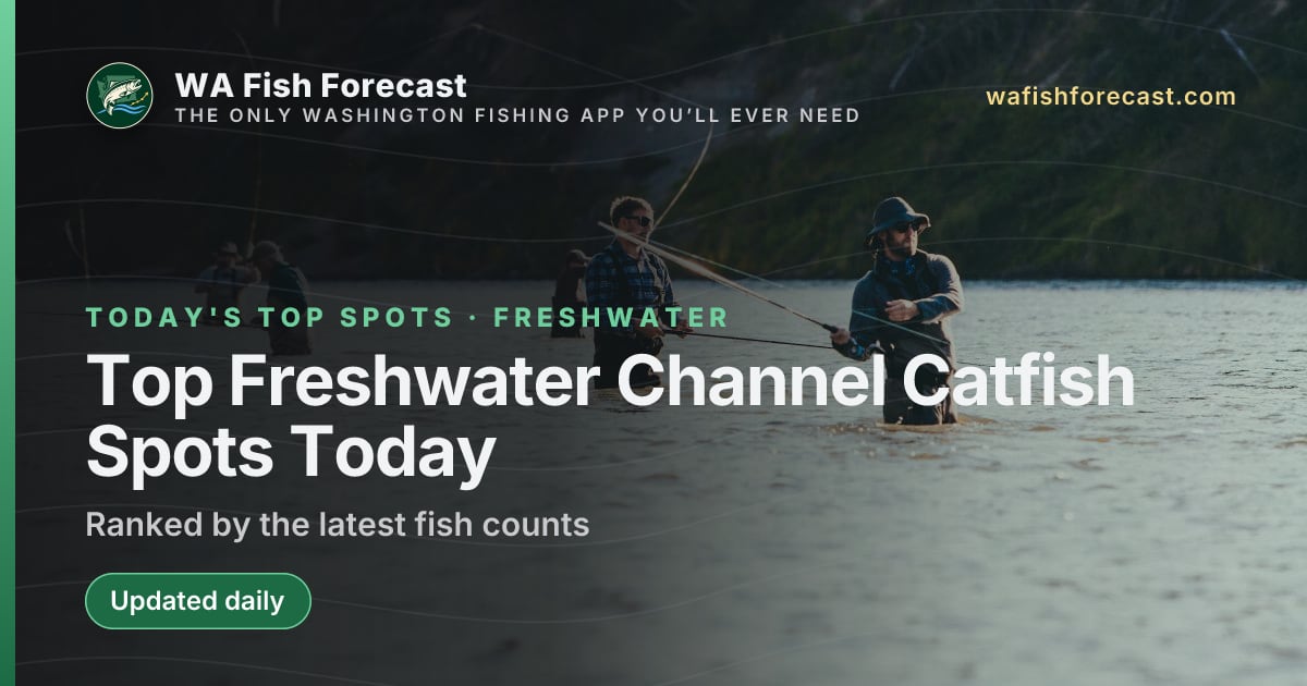 Top Channel Catfish spots today in Washington · WA Fish Forecast